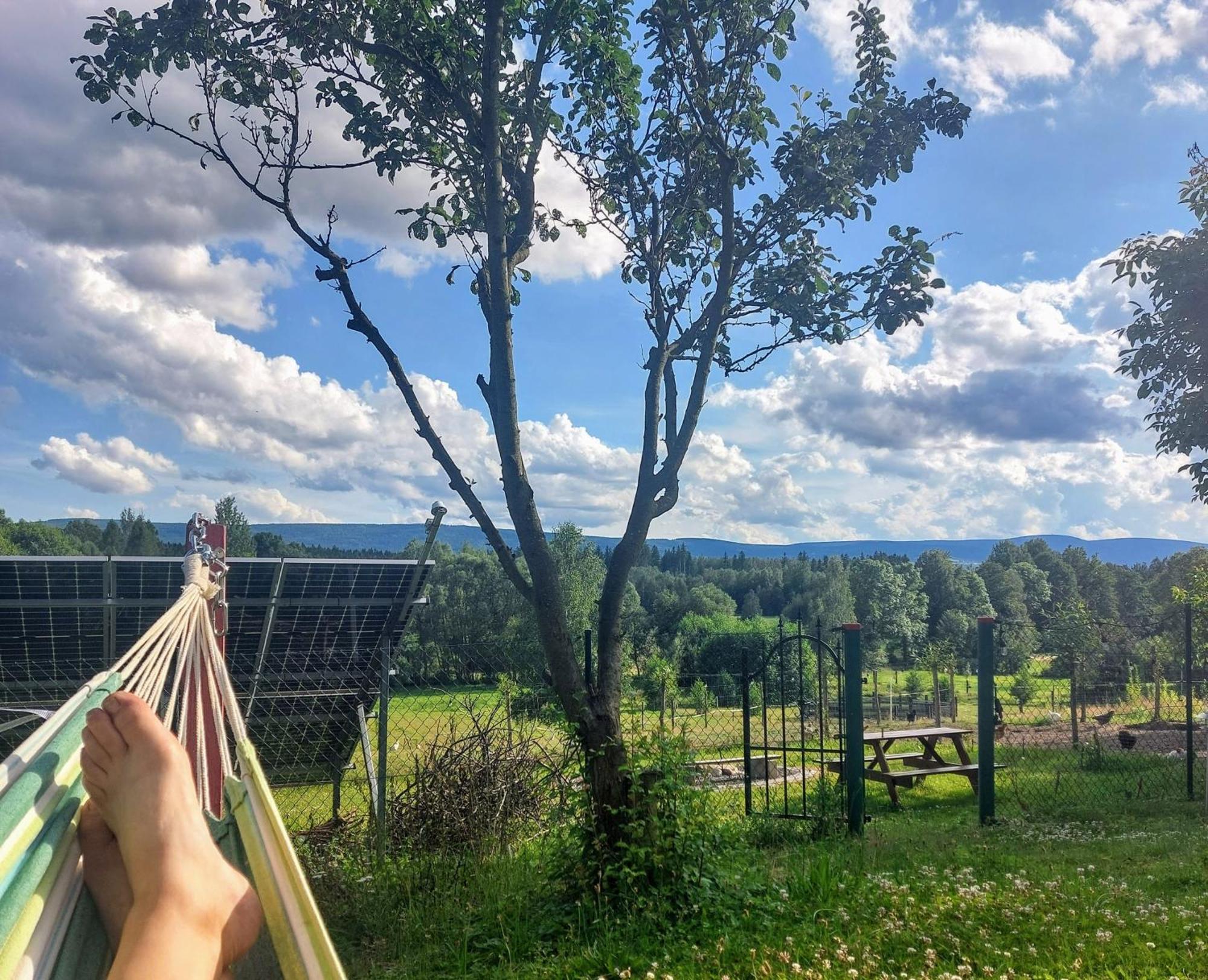 Mirsk Maja Pokoje Z Widokiem Kameralna Agroturystyka Na Pogorzu Izerskim Z Sauna I Jacuzzi (Adults Only) מראה חיצוני תמונה